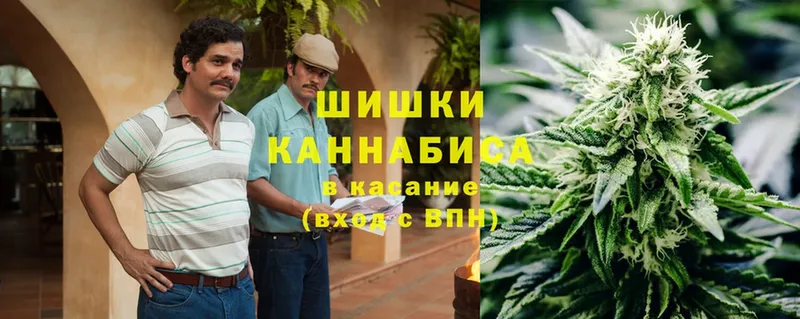 дарнет шоп  shop какой сайт  Бошки Шишки LSD WEED  Красноармейск 